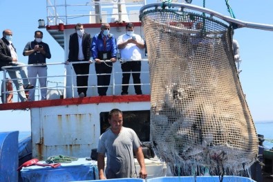 Samsun'da 'Türk Somonu' Hasadi
