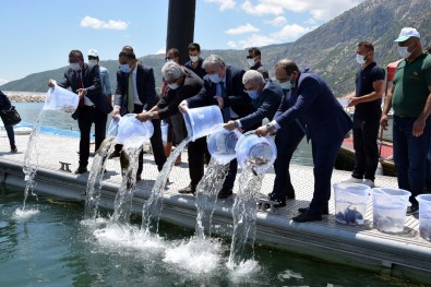 SAREM, Egirdir Gölüne Balik, Kerevit Ve Sülük Birakti