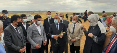 TARSIM'den Sereflikoçhisar'a Ziyaret