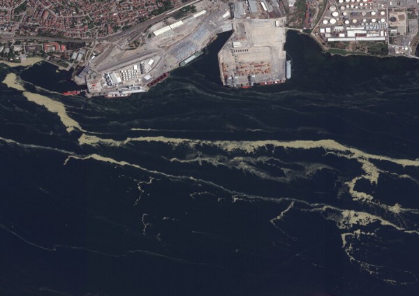 Marmara Denizi'ndeki müsilaj uzaydan görüntülendi!