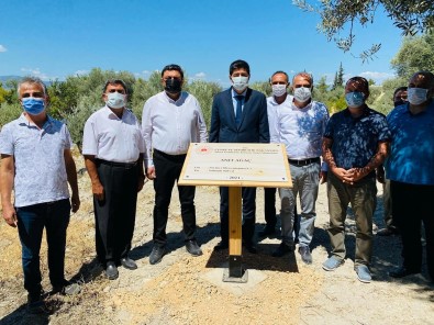 1300 Yillik Anit Agacina Sahip Mut'a 3 Anit Agaç Daha Tescillendi