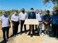 1300 Yillik Anit Agacina Sahip Mut'a 3 Anit Agaç Daha Tescillendi