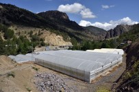 Gümüshane'nin En Büyük Sera Alani Torul'da Olusturuldu