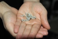 BULDUK - Hobi Olarak Basladilar, Meslek Sahibi Oldular