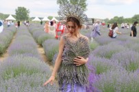 Istanbullulardan Edirne'deki Lavanta Etkinligine Yogun Ilgi