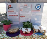 YUNUS EMRE - Ögrencilerin Tübitak Sergisi Büyük Ilgi Gördü