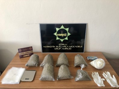 Ormanda Bir Çuval Bonzai Ele Geçirildi