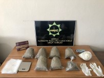 BONZAI - Ormanda Bir Çuval Bonzai Ele Geçirildi