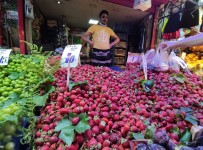 TAZE FASULYE - Ürün Bollasti, Pazarin Atesi Düstü