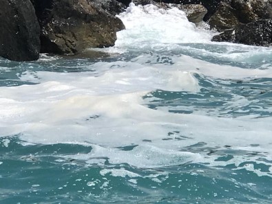 Iskenderun Kiyilarinda Beyaz Tabaka Endiselendirdi