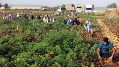 Israil, Gazze'ye Önemli Ve Zorunlu Ürünlerin Girisine Engel Olmayi Sürdürüyor
