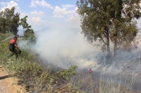 BÜYÜK MENDERES NEHRI - Söndürülmeden Atilan Izmarit, Aydin'i Duman Altinda Birakti