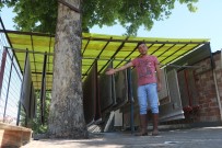 BULDUK - Yarim Asirlik Çinar Agacini Kesmeye Kiyamayinca Çözümü Böyle Buldu