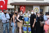 DIYALOG - Yüregir Belediyesinden Can Dostlara Mama Destegi