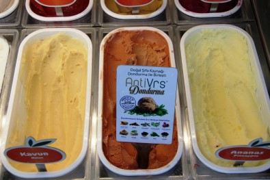 10 Bitkiden Üretilen 'Anti-Vrs' Dondurma Bodrum'da Ilgi Odagi Oldu