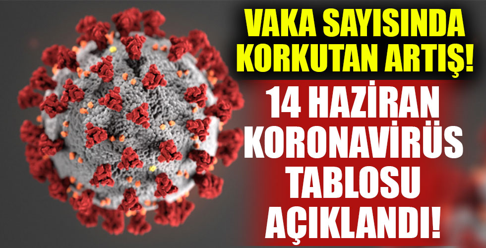 14 Haziran koronavirüs rakamları!