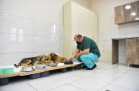 DEZENFEKSİYON - Avcilar'da Zehirlenen Yavru Köpekler Belediye Ekiplerince Kurtarildi