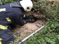 NİLÜFER - Hayvanlarin Yardimina Kosan Itfaiyecilere Tesekkür
