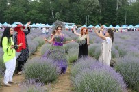 TRAKYA ÜNIVERSITESI - Lavanta Tarla Günlerinde Müzik Resitali