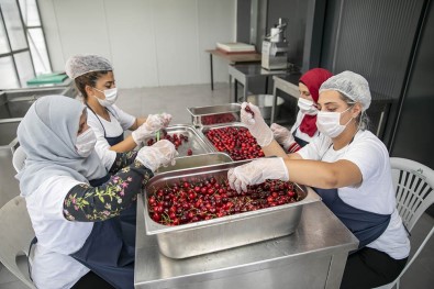 'Mersinden Günes Enerjisi Ile Kurutma Tesisi' Faaliyete Geçti