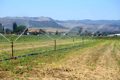 Tarim-ÜFE Aylik Yüzde 0,43 Azaldi