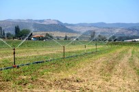 KEÇİ - Tarim-ÜFE Aylik Yüzde 0,43 Azaldi