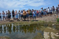 PROTESTO - Dikili'de Mandira Kirliligi Isyani