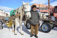 YUNUS EMRE - Hasan Cellat'a Özel Ödül