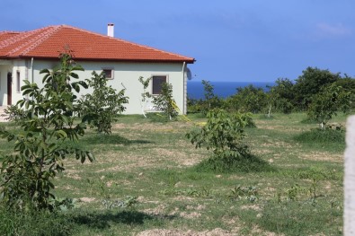 Kardesini Öldüren Agabeye Müebbet Hapis