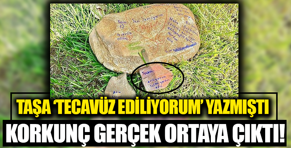 Korkunç gerçek ortaya çıktı! Taştaki 'Tecavüz ediliyorum' yazısının sahibi belli oldu