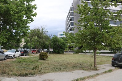 Mahkemeden Kiymet Teyze'ye Güzel Haber