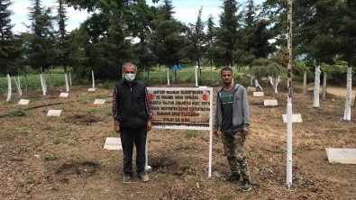 Tarihî Sehitligin Bakimini Çilek Tarlasi Isçileri Yapiyor