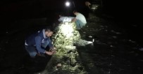 İNCİ KEFALİ - Van Gölü'nde 5 Ton 450 Kilogram Inci Kefali Ele Geçirildi