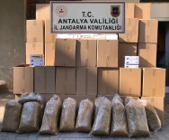 JANDARMA KARAKOLU - Alanya'da Kaçak Tütün Operasyonu