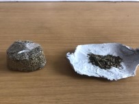 BONZAI - Çiçekçide Bonzai Operasyonu