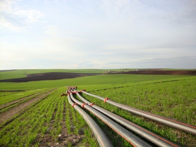 Diyarbakir'in 162 Projesine 24,2 Milyon Lira Hibe Destegi