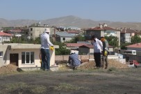  EDREMİT - Esrarengiz Tepenin Sirri Çözülüyor