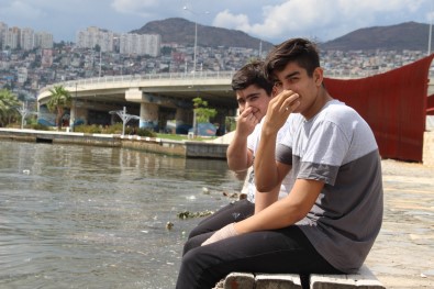 Izmir Körfezi'ndeki Koku Ve Kirlilik Artiyor