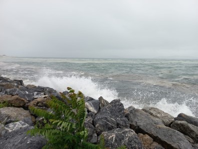 Marmara'da Lodos, Müsilaji Kiyiya Itti