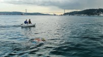 KOMANDO - Mersin'den Kibris'a Yüzmek Için Istanbul Bogazinda Antrenman