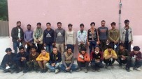 MÜLTECI - Osmaniye'de 42 Mülteci Yakalandi