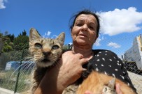 DEPREM - Sokak Hayvanlarina Adanmis Bir Ömür