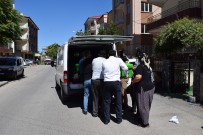 TAHKİKAT - Son Arzusu Karpuz Oldu