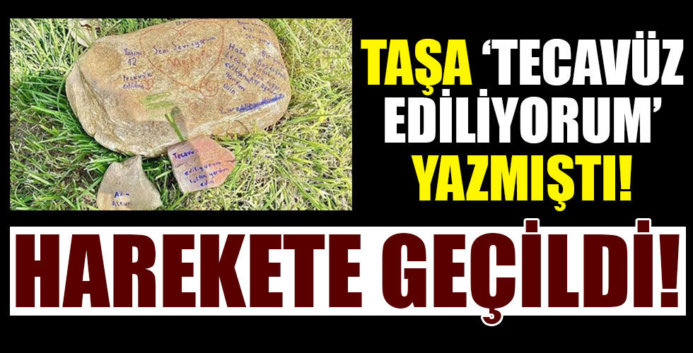 Taşa tecavüz edildiğini yazan çocuk için Bakanlık harekete geçti!