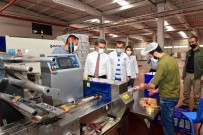 MEMUR - Tesvikler Malatya'da Fabrika Sayisini Arttirdi