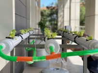 DOKUNMATIK EKRAN - 'Topraksiz Tarimda Sera Ve Bitki Otomasyonu' Projesi Tamamlandi