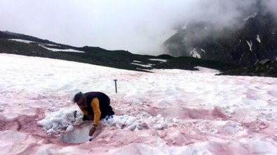 Alpler’in yüksek kesimlerinde kırmızı kar görüldü