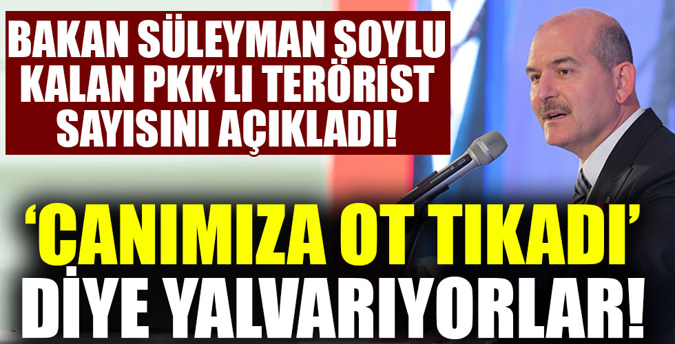 Bakan Soylu kalan PKK'lı terörist sayısını açıkladı!