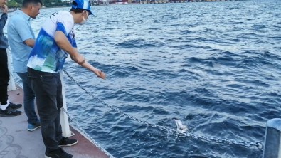 Balik Tutmak Için Attigi Oltasina Takilani Görünce Sasirdi