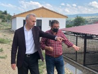 Baskan Öztürk'ten Yeni Hayvan Barinaginda Inceleme